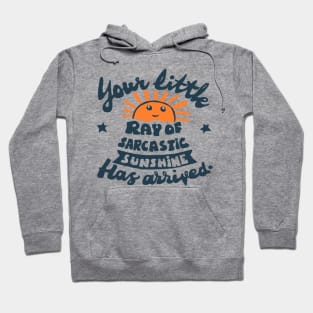 funny quote little ray of sarcastic sunshine Hoodie